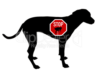 Hund Stoppschild Floh