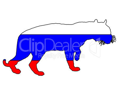 Russland Tiger Russland Tiger