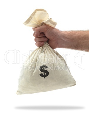 Money Bag