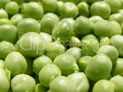 Peas picture