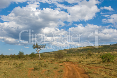 countryside road, green grass and blue sky