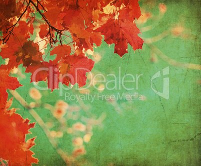 grunge background with autumn leaves