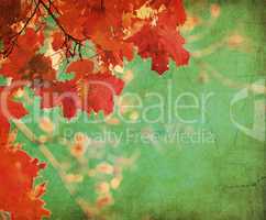 grunge background with autumn leaves