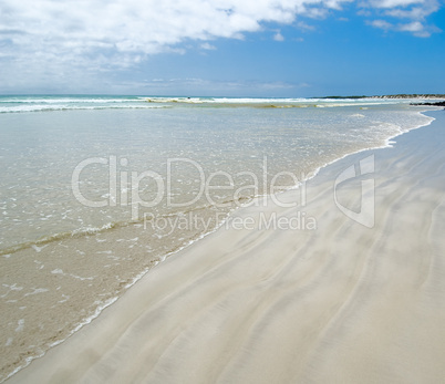 tortuga beach, galapagos islands, ecuador