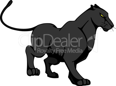 schwarzer Panther