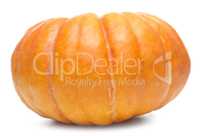 Single fresh pumpkin