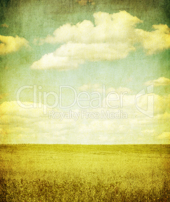 grunge image of green field and blue sky