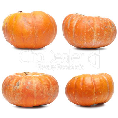 Four fresh pumpkin