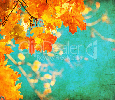 grunge background with autumn leaves grunge background with autumn leaves