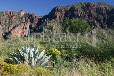 Big Bend National Park