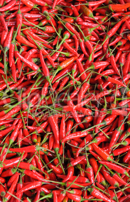 background of red chillies