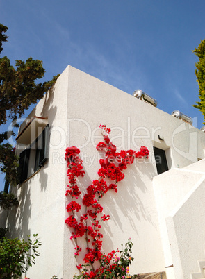 The house decorated with flowers, Crete, Greece