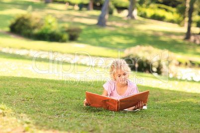 Little girl looking at her album photo