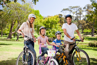 Family in the park with their bikes