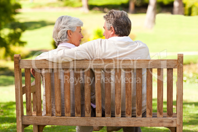 Lovers on the bench