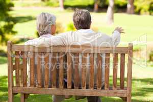 Lovers on the bench