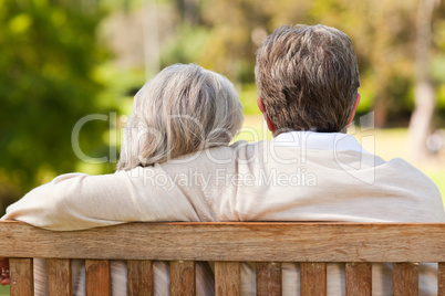 Lovers on the bench