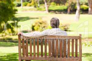 Senior man on the bench