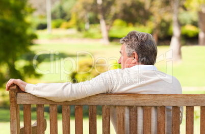 Senior man on the bench