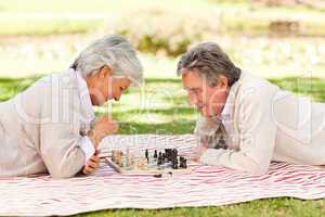 Elderly couple playing chess