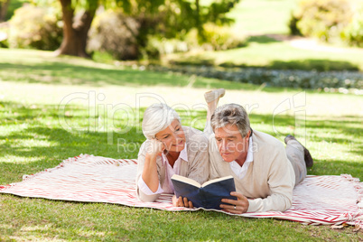 Couple reading a book in the park