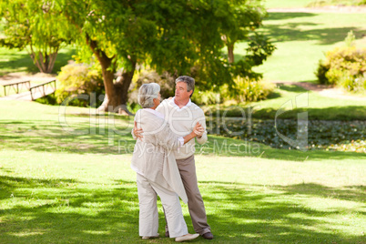 Senior couple dancing in the park