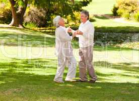 Mature couple dancing in the park