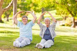 Elderly couple doing their stretches in the park