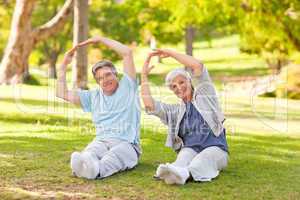 Elderly couple doing their stretches in the park