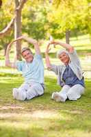 Elderly couple doing their stretches in the park