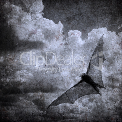 bat in the dark cloudy sky, perfect halloween background