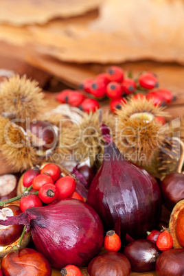 Herbst Stilleben