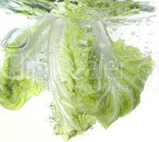 Bejing cabbage in water splash