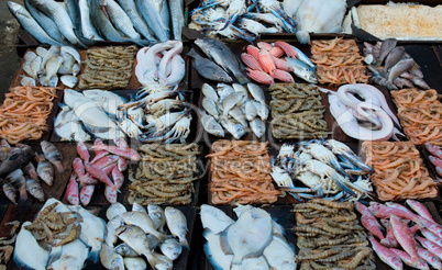 fresh seafood at a fish market