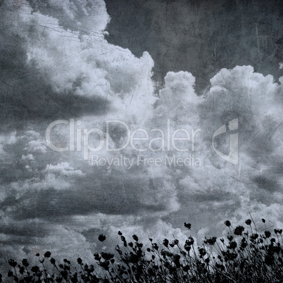 grunge image of cloudy sky and grass, perfect halloween backgrou