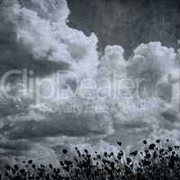 grunge image of cloudy sky and grass, perfect halloween backgrou