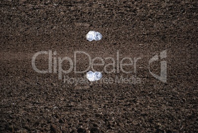 Plastic bag blowing across the field