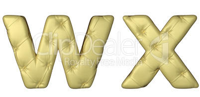Luxury beige leather font W X letters