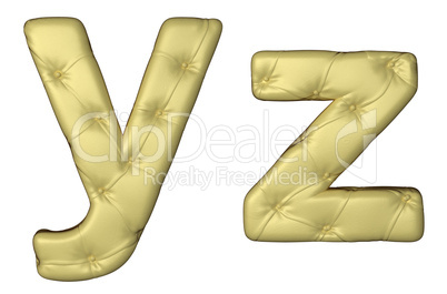 Luxury beige leather font Y Z letters