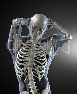 Human Body Medical Scan front view