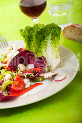 Detail aus frischen gemischten Salat