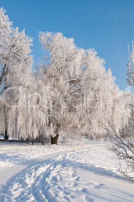 Cold winter day