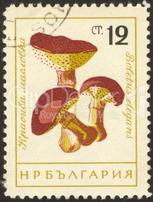 postage stamp