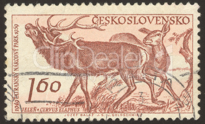 postage stamp