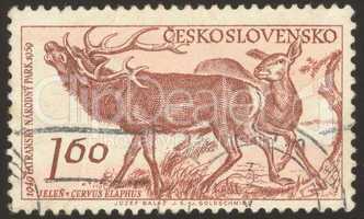 postage stamp