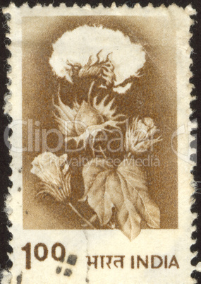 postage stamp