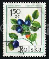 postage stamp