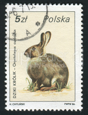 postage stamp