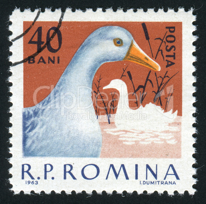 postage stamp