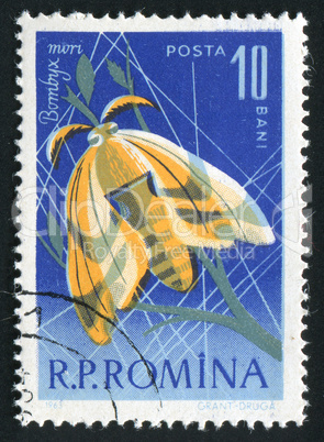 postage stamp